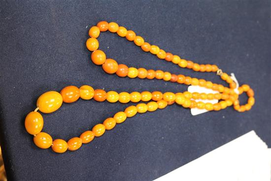 Two single strand graduated oval amber bead necklaces,